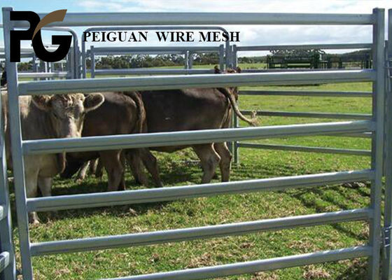 Miniature Welding Livestock Steel Fence Panels Anti Corrosion