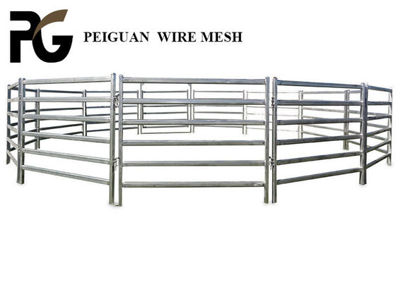 Removable Metal Livestock Panels 1.8m For Australia
