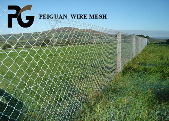 6 Foot Security Metal Fencing , Tennis Court Green Chain Link Fence