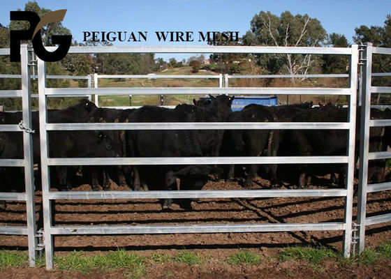 Miniature Welding Livestock Steel Fence Panels Anti Corrosion