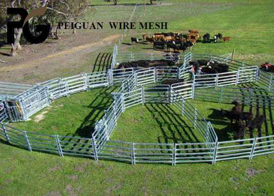 Removable Metal Livestock Panels 1.8m For Australia