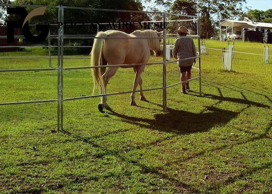 Removable Metal Livestock Panels 1.8m For Australia