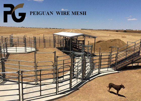 Hot Dipped Galvanized Cattle Yard Panel , Farm Metal Horse Fence Panels