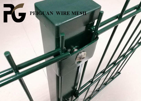 Courtyard Twin Wire Mesh Fence , Green Twin Wire Mesh Fencing
