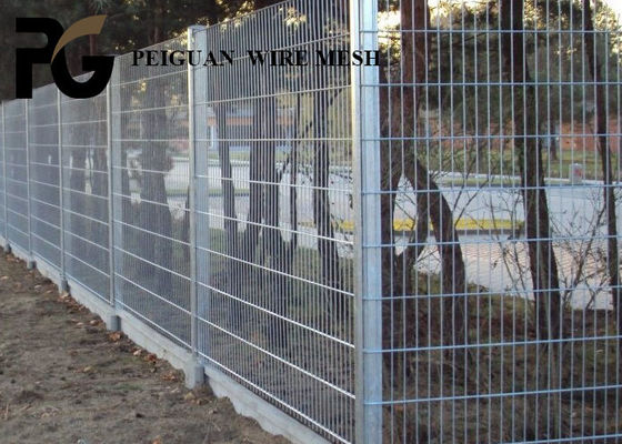 Powder Coated Double Wire Fence , Conservation Twin Wire Mesh Fencing