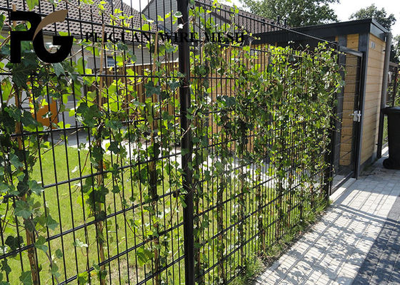 50x200mm Double Wire Fence Panel , Sport 868 Mesh Fencing