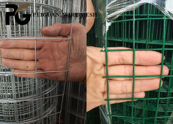 Animals Hot Dipped Galvanized Welded Iron Wire Mesh 6 Gauge