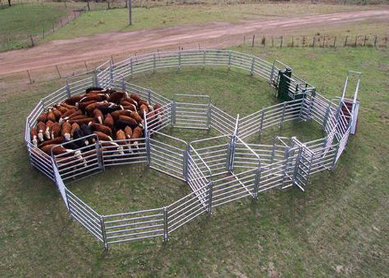 1.8mx2.1m Cattle Metal Fence Panels , Steel Round Cattle Panels