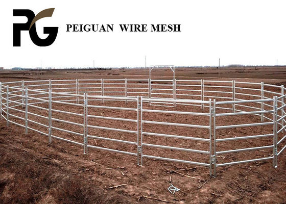 High Security Arrow Cattle Yard Panels Equine Protection