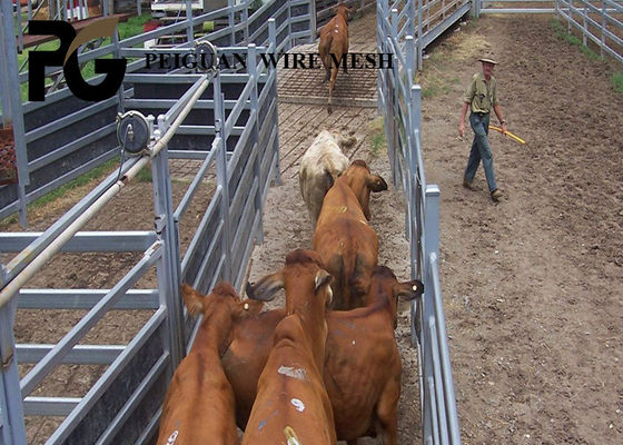 1.8mx2.1m Cattle Metal Fence Panels , Steel Round Cattle Panels