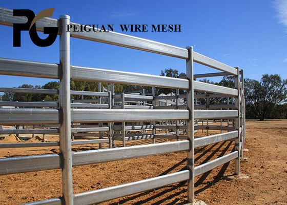 High Security Arrow Cattle Yard Panels Equine Protection