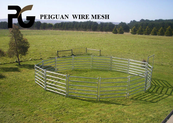High Security Arrow Cattle Yard Panels Equine Protection