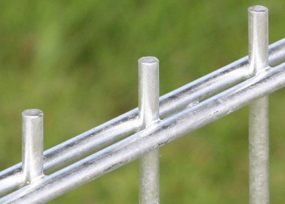 Silver Double Wire Welded Fence , Garden 868 Twin Wire Mesh Fencing