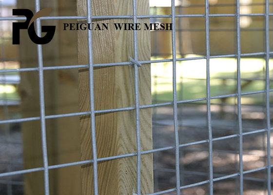 Powder Coated Galvanized Welded Wire Mesh Sheets