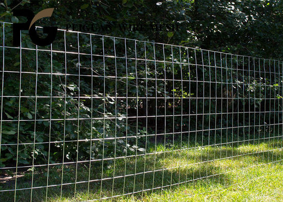10.6mmx10.6mm Galvanized Welded Wire Panels