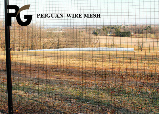 Powder Coated Galvanized Welded Wire Mesh Sheets