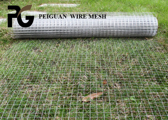 Low Carbon Iron Wire Mesh 12.7mmx12.7mm For Poultry Cages