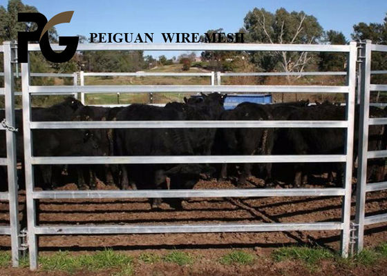 Portable Steel Cattle Yard Panels
