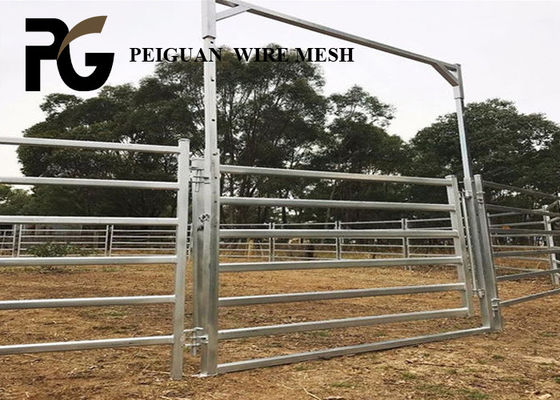 Farm Heavy Duty Cattle Yard Gates