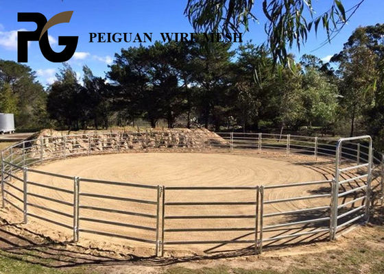 Farm Heavy Duty Cattle Yard Gates