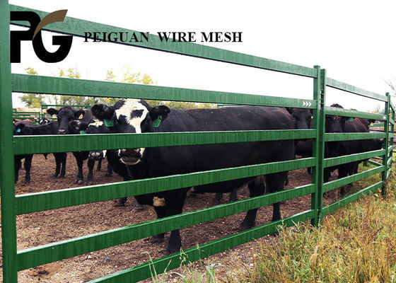 Sustainable 1.6x2.1m Metal Fence Panels For Livestock Anti Corrosion