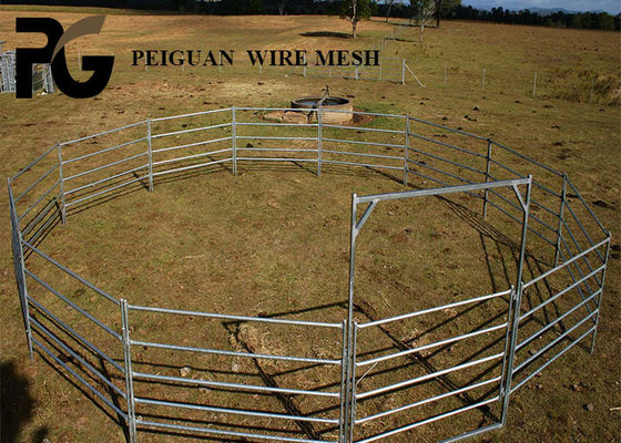 1.6m Cattle Yard Panel , White Livestock Metal Fence Panels