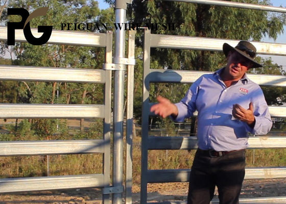 Easily Assembled Cattle Yard Panel , Lightweight Galvanized Cattle Panels