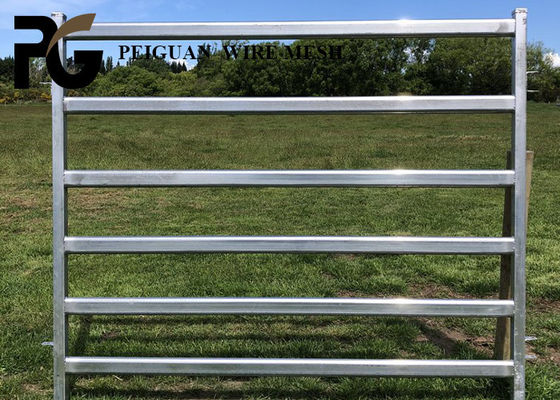 1.6m Cattle Yard Panel , White Livestock Metal Fence Panels