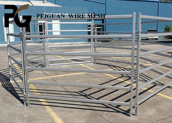 1.6m Cattle Yard Panel , White Livestock Metal Fence Panels