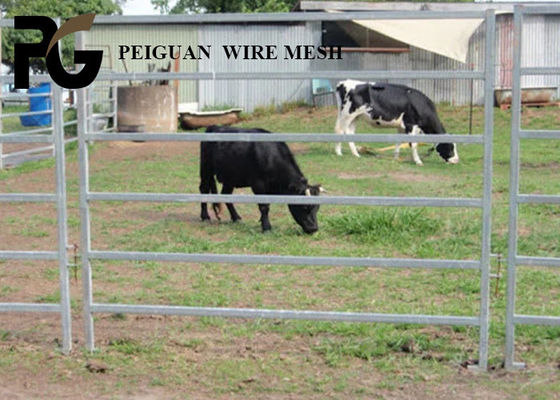 Easily Assembled Cattle Yard Panel , Lightweight Galvanized Cattle Panels