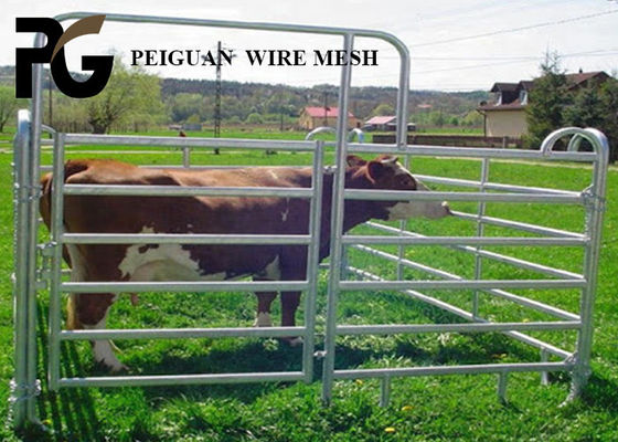 PVC Coated Animals Steel Cattle Yard Panels Round Tube Welded
