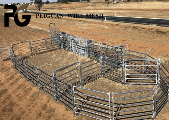 PVC Coated Animals Steel Cattle Yard Panels Round Tube Welded