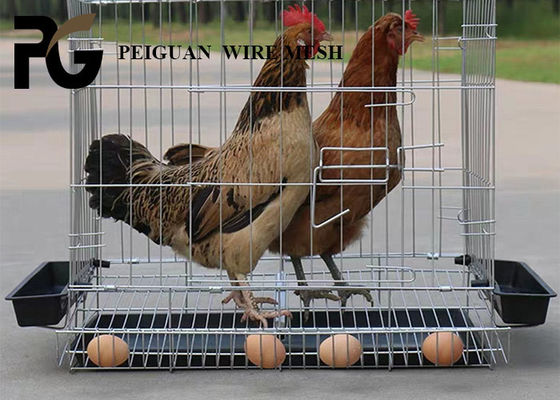Chicken Rectangular Welded Wire Mesh , High Security Waterproof Wire Mesh