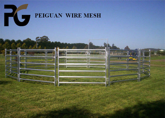 Leicht zusammengebaute Vieh-Yard-Platte, leichte galvanisierte Vieh-Platten