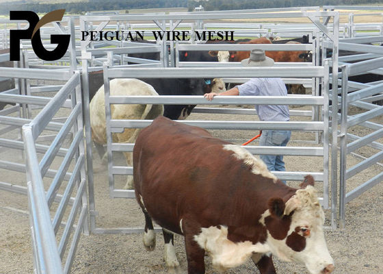 PVC Coated Animals Steel Cattle Yard Panels Round Tube Welded