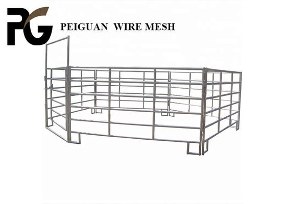 Pagar Rel Sapi Galvanis Pipa Bulat Tinggi 1,6 m